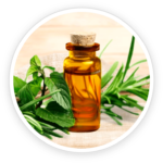 Tea Tree Oil